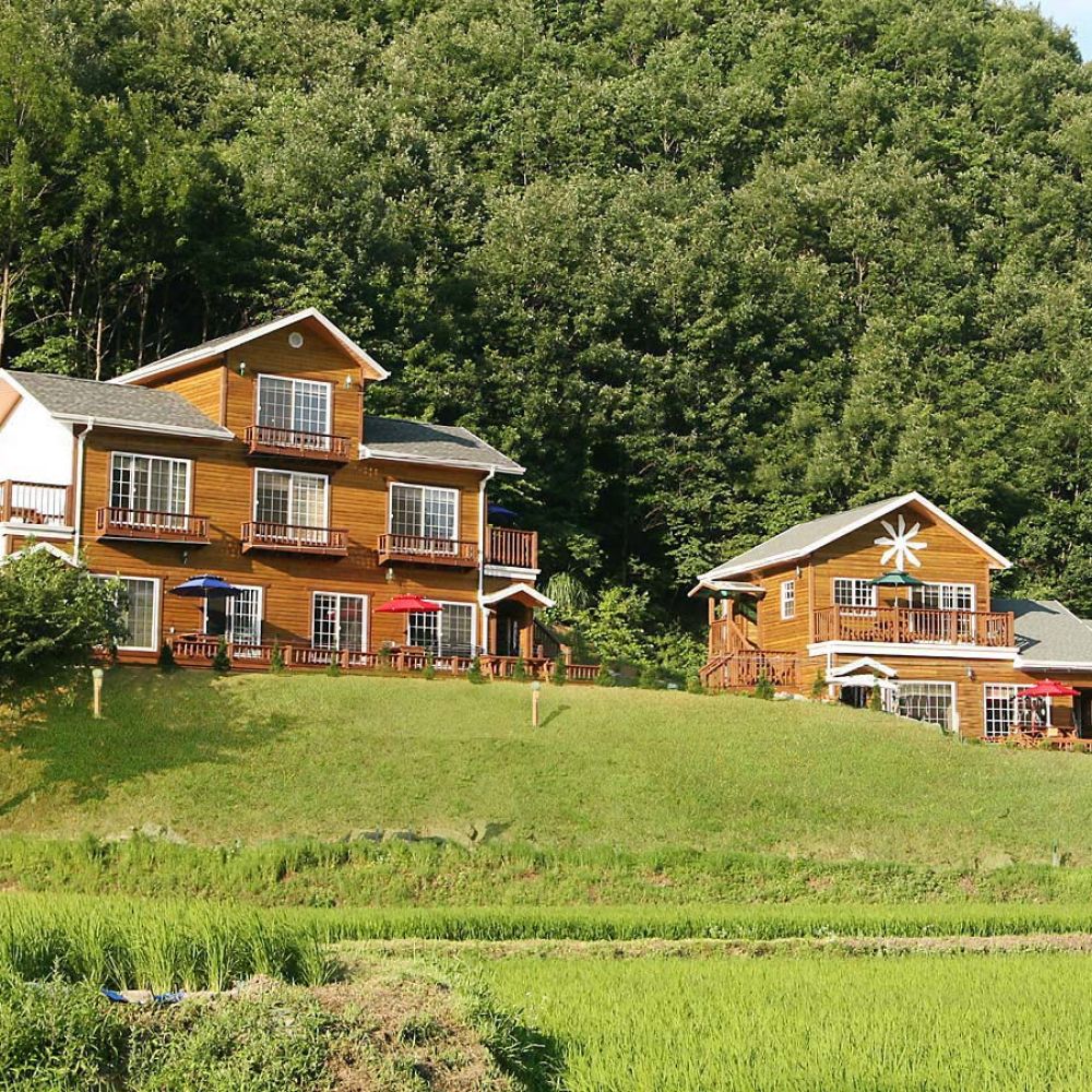 주간전경