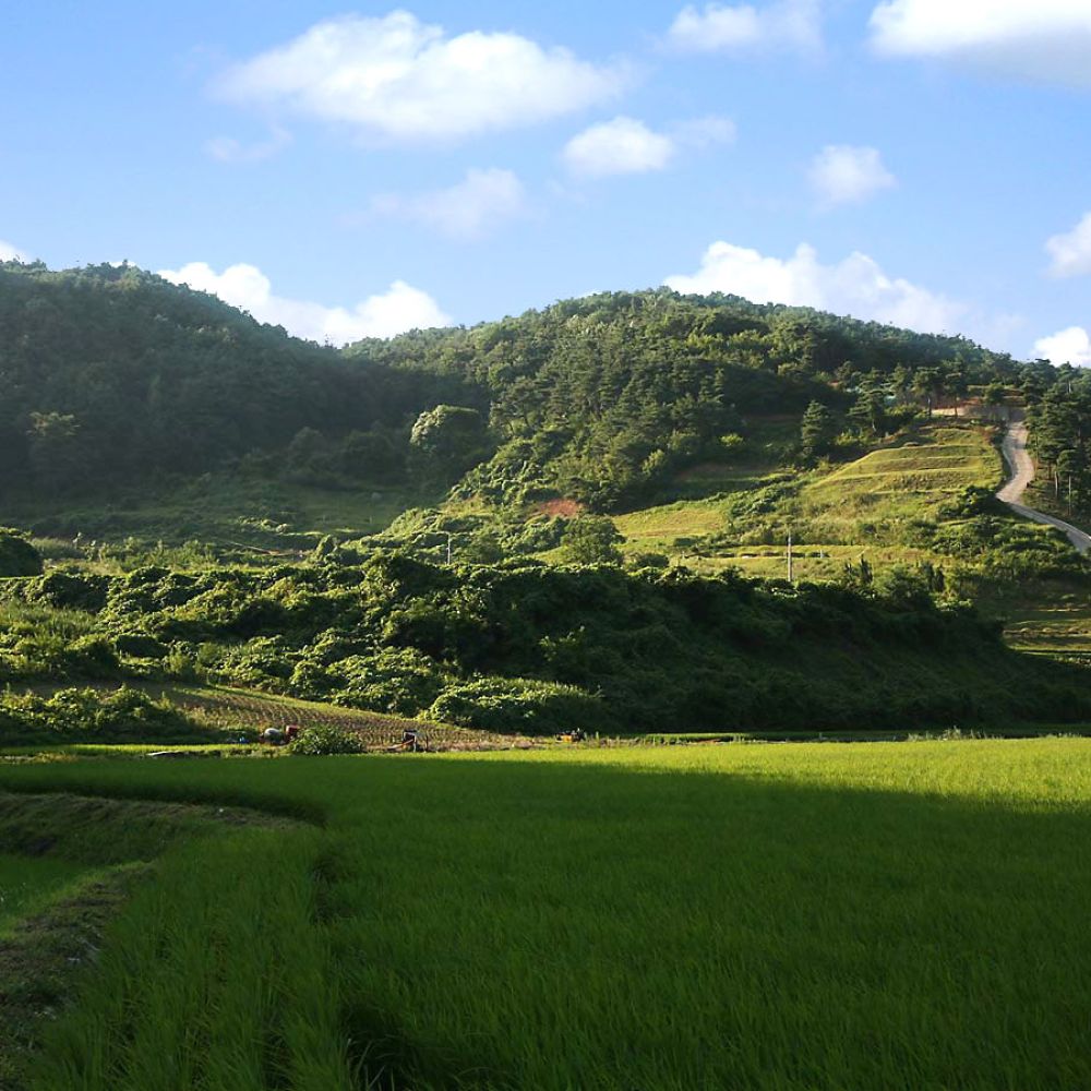 주간전경